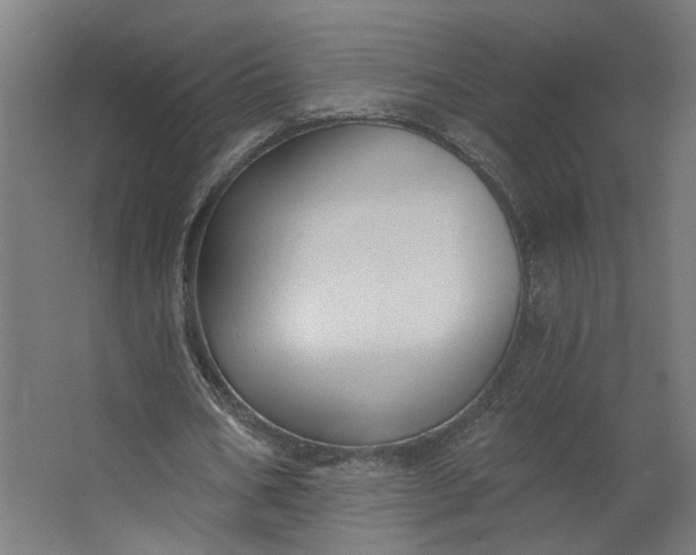 X0000062610578200601040941