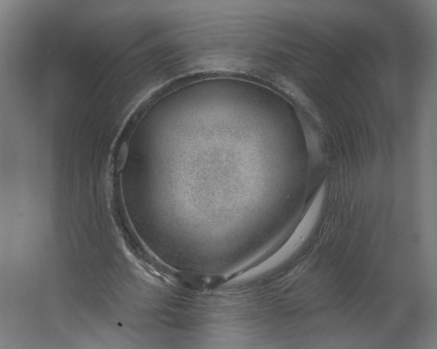 X0000062610580200601040941