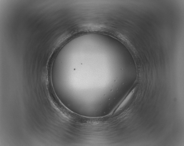 X0000062610582200601040941