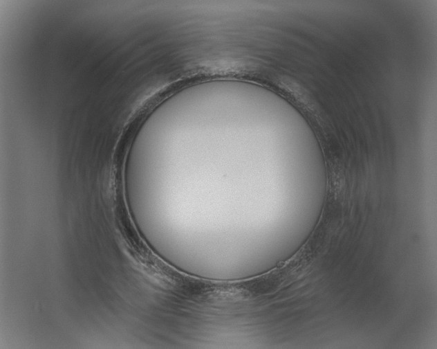 X0000062610583200601040941