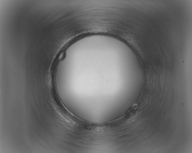 X0000062610584200601040941