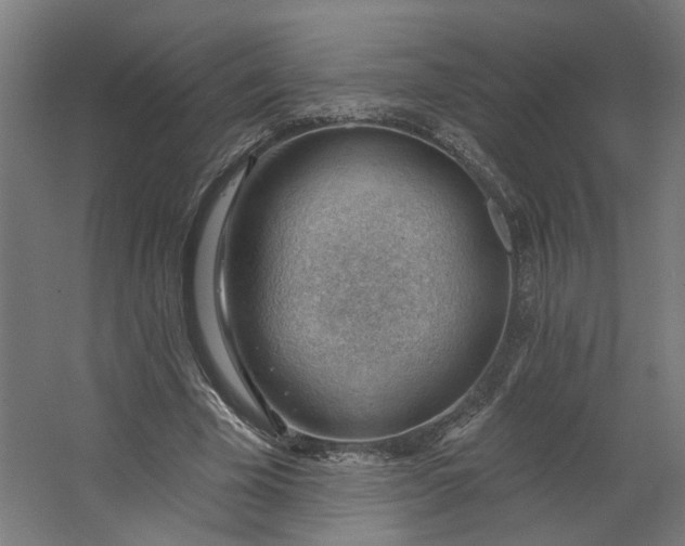 X0000062610585200601040941