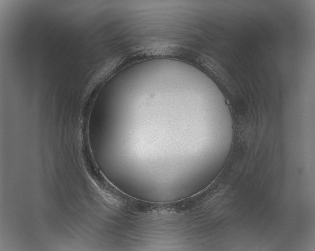 X0000062610586200601040941