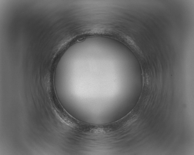 X0000062610588200601040941