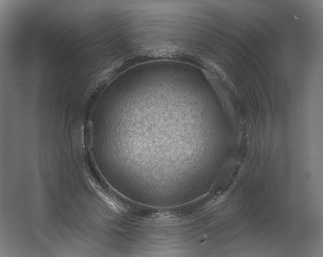 X0000062610589200601040941