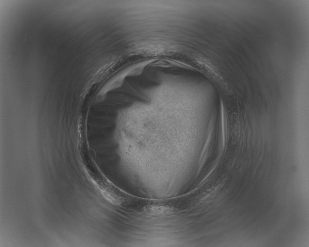 X0000062610590200601040941