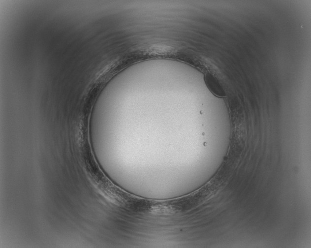 X0000062610591200601040941