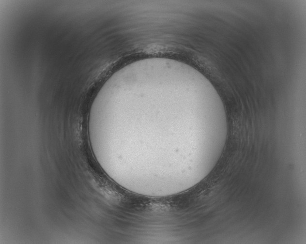 X0000062610592200601040941