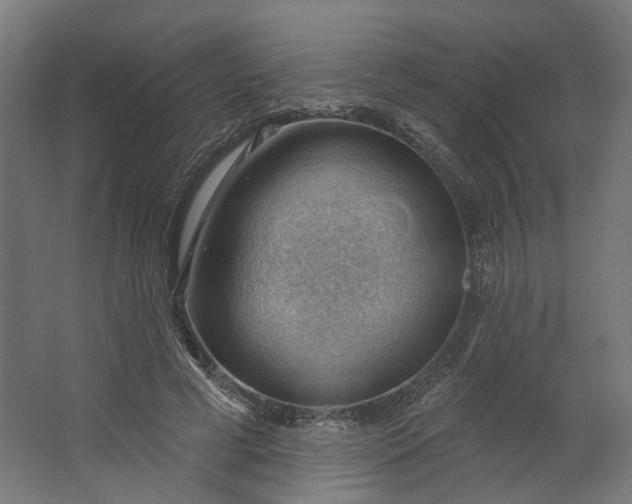 X0000062610593200601040941