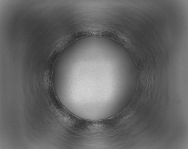 X0000062610594200601040941