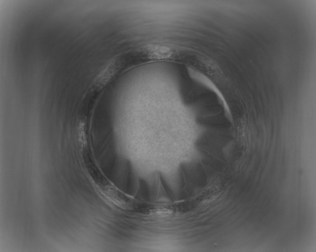 X0000062610598200601040941