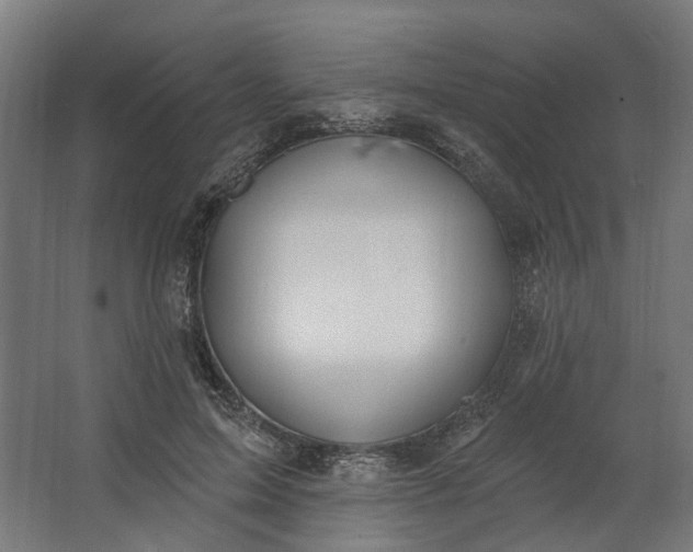 X0000062610599200601040941