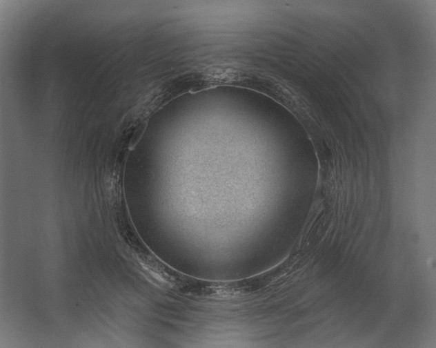 X0000062610601200601040941