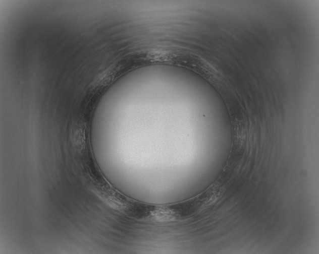 X0000062610603200601040941