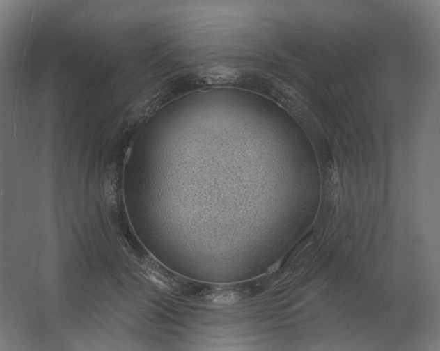 X0000062610604200601040941