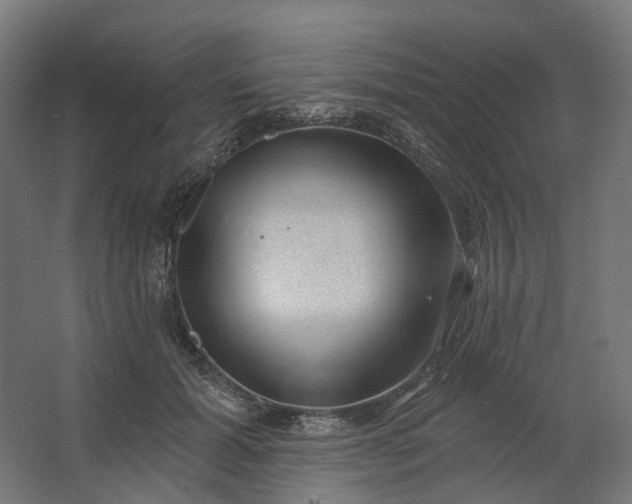 X0000062610605200601040941