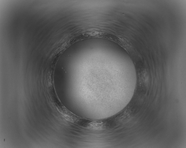 X0000062610606200601040941