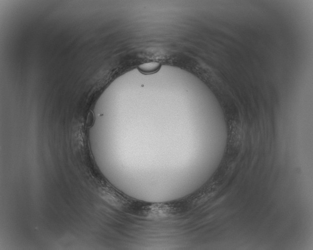 X0000062610612200601040941