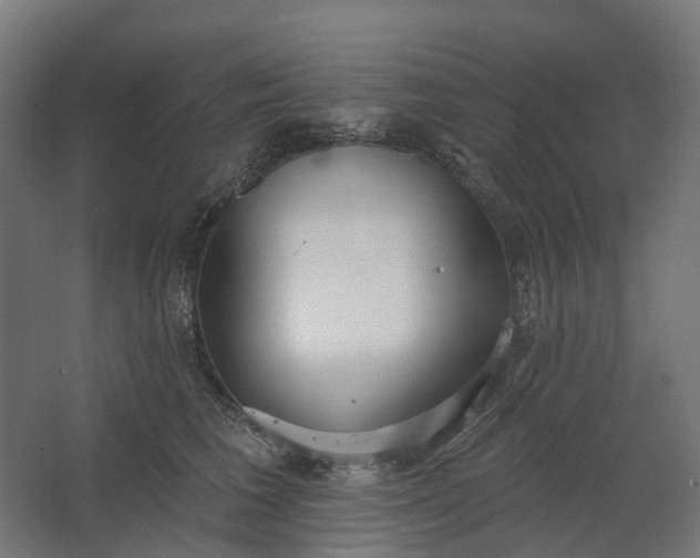 X0000062610613200601040941