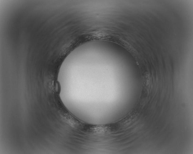 X0000062610615200601040941