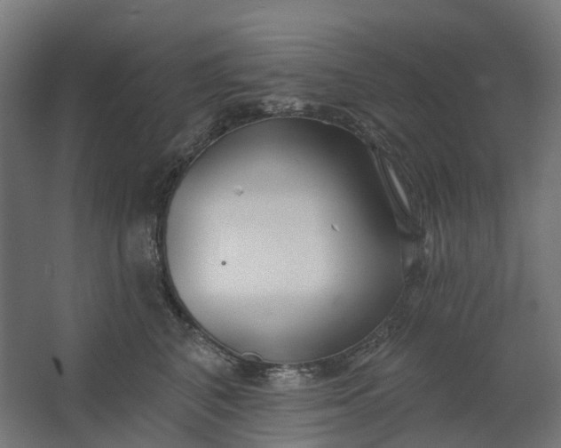 X0000062610616200601040941