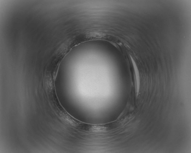 X0000062610617200601040941