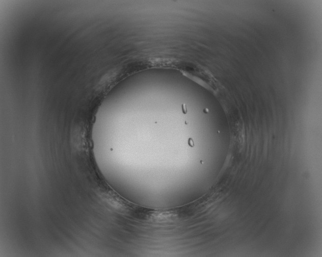 X0000062610619200601040941