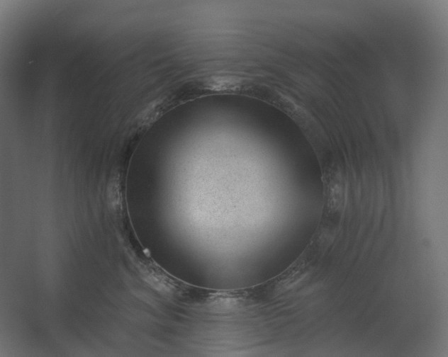 X0000062610620200601040941