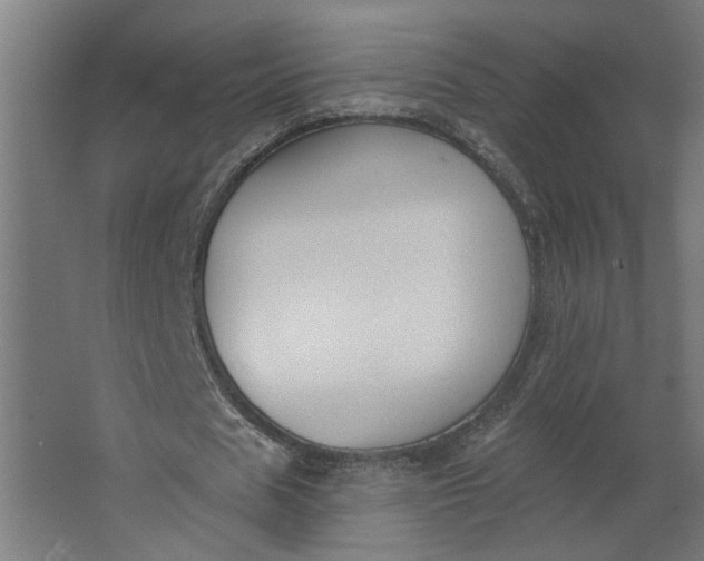 X0000062610625200601040940