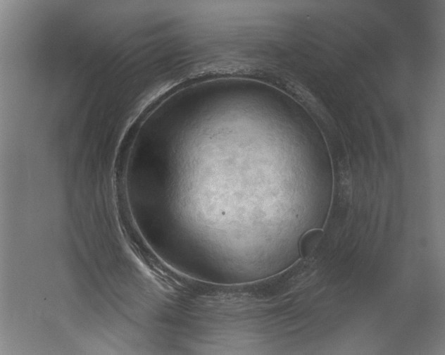 X0000062610626200601040940