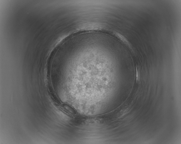 X0000062610627200601040940