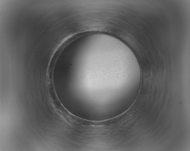 X0000062610628200601040940