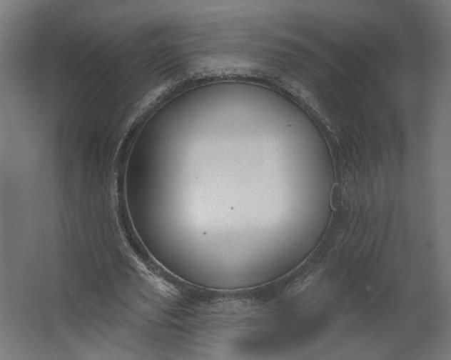 X0000062610629200601040940