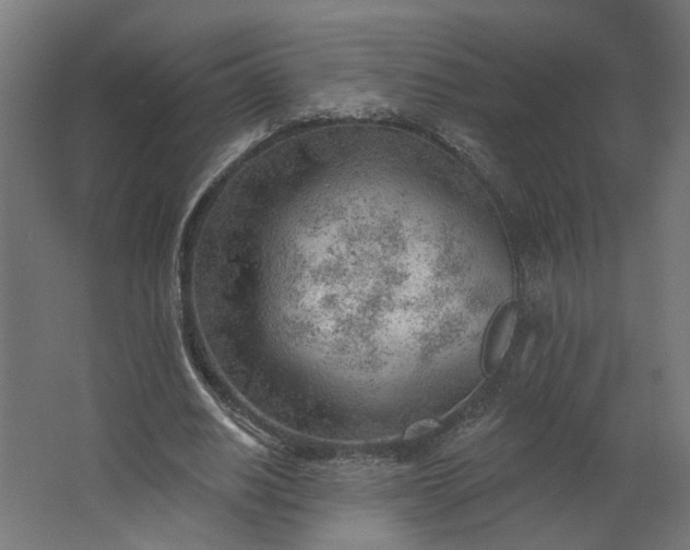 X0000062610630200601040940