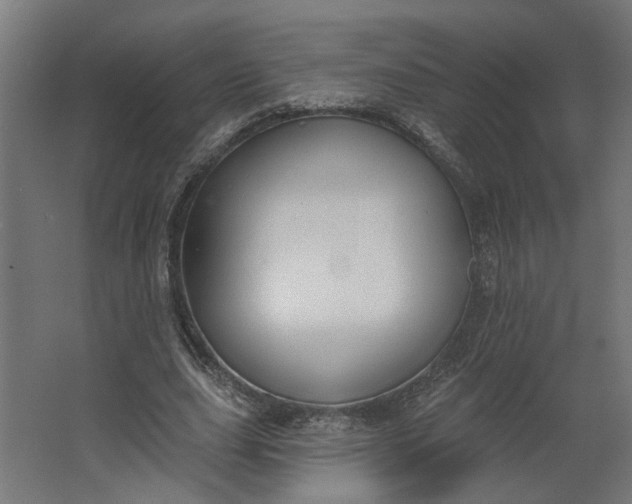 X0000062610631200601040940