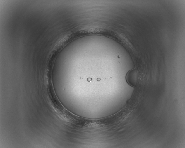 X0000062610635200601040940