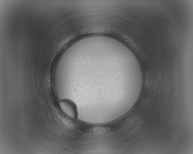 X0000062610636200601040940