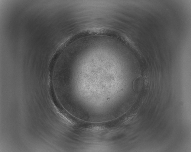 X0000062610637200601040940