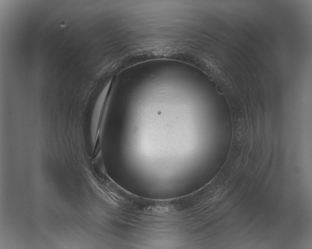 X0000062610639200601040940