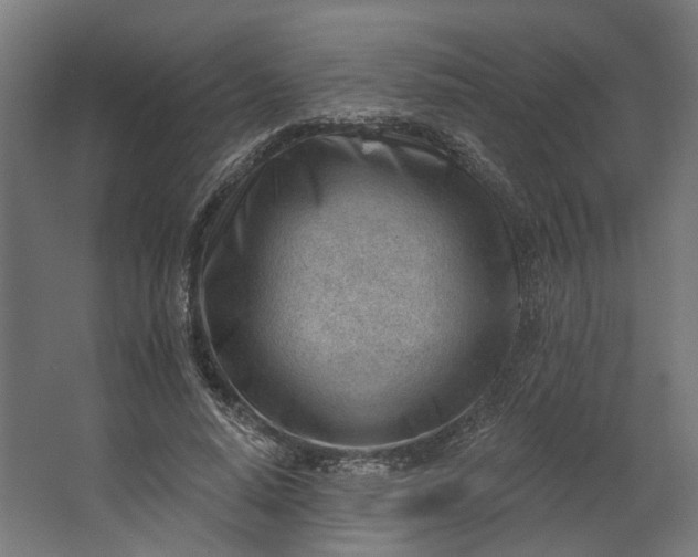 X0000062610640200601040940