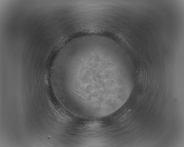 X0000062610643200601040940