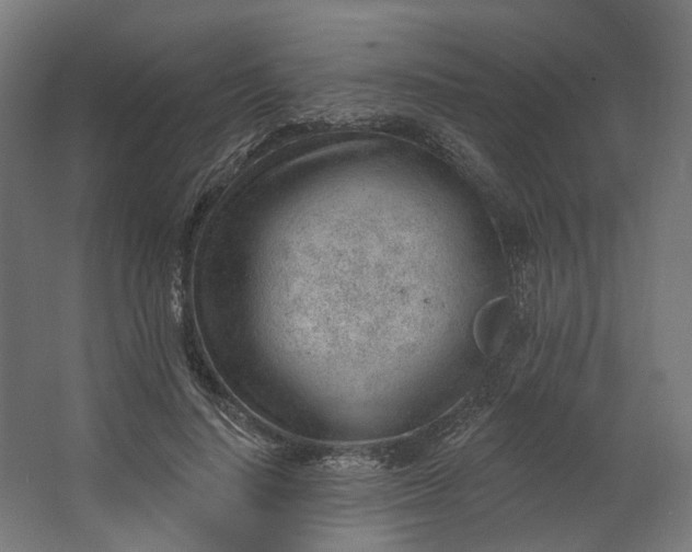 X0000062610644200601040940