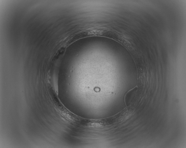 X0000062610649200601040940