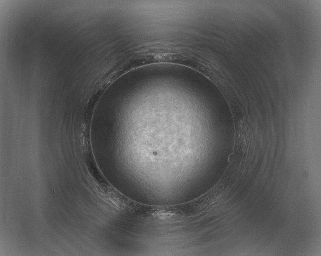 X0000062610650200601040940