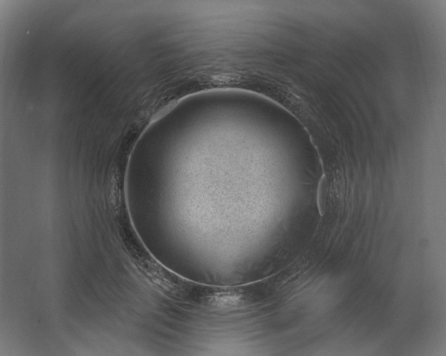 X0000062610651200601040940