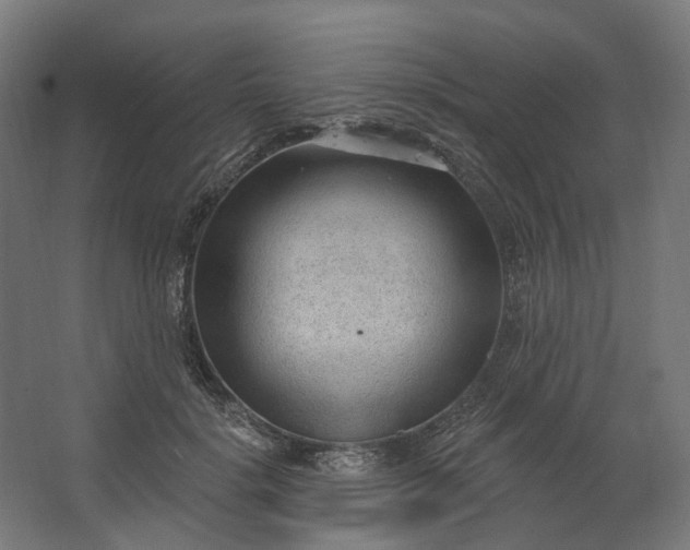 X0000062610652200601040940