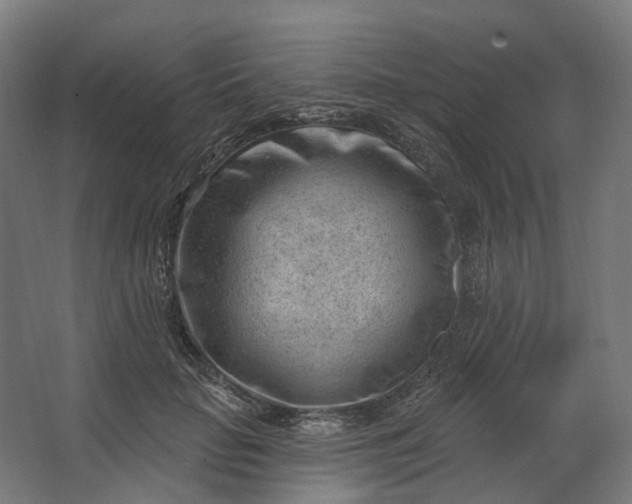 X0000062610653200601040940