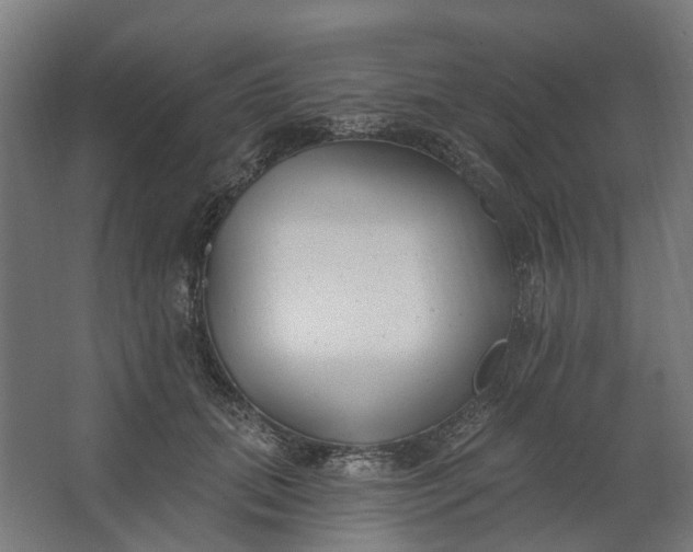 X0000062610655200601040940