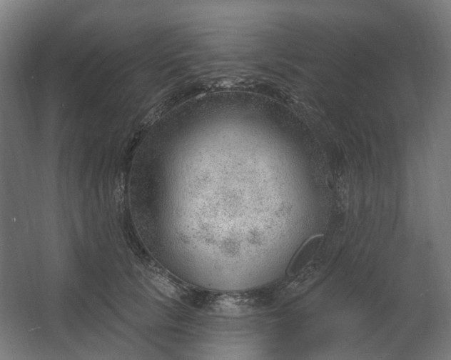 X0000062610657200601040940