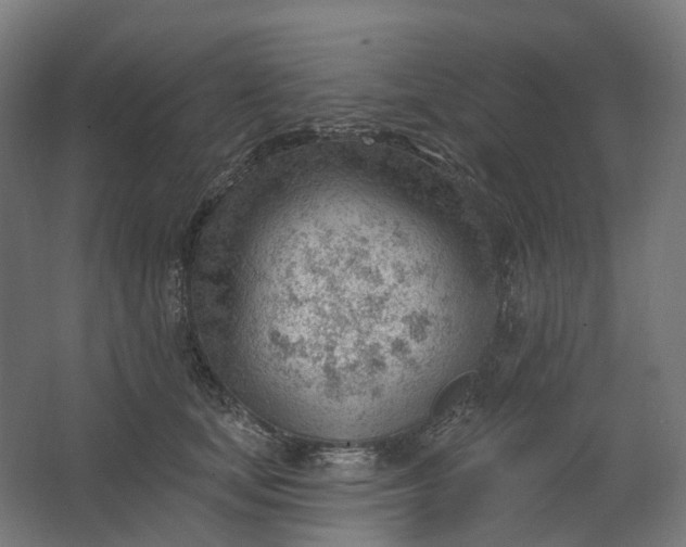 X0000062610659200601040940